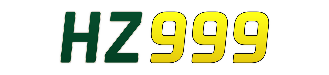 hz999 Logo